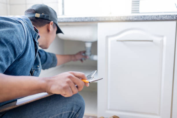 Best Local Plumber Services  in Level Plains, AL