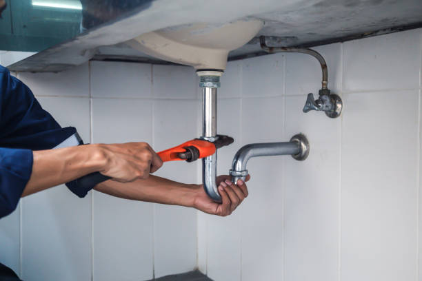 Best Same-Day Plumbing Service  in Level Plains, AL