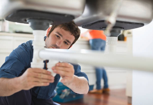 Best Plumbing Repair Near Me  in Level Plains, AL