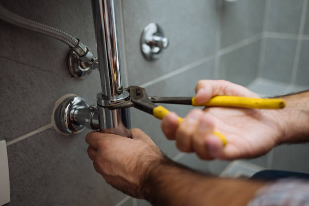 Best Pipe Repair Near Me  in Level Plains, AL