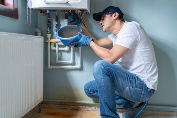 Best Plumbing Inspection Services  in Level Plains, AL